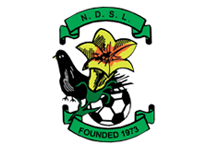 North Dublin Schoolboys/Girls League
